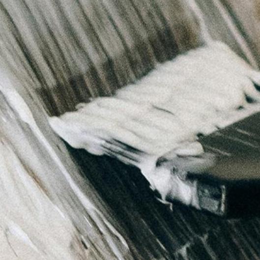 Root Revival—Premium